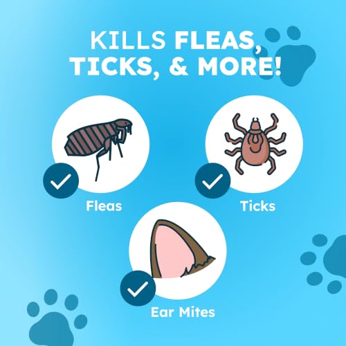 Image of BugMD Flea and Tick Spray for Dogs - Kills & Repels on Contact | Plant-Powered Treatment for Home, Furniture and Carpet - Makes 32 oz | Starter Kit