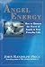 Angel Energy: How to Harness the Power of Angels in Your Everyday Life