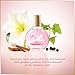 Vanderbilt Gloria Minuit À New York Eau De Parfum Spray, color Multicolor,...