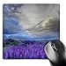 Price comparison product image 3dRose mp_258807_1 8" x 8" USA California Sierra Nevada Mountains. Inyo Bush Lupine Blooming. Mouse Pad