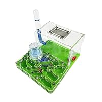 Formicaio Educativo In Acrilico Trasparente Con Torre D'Acqua - Osservazione Formiche - Foto 6