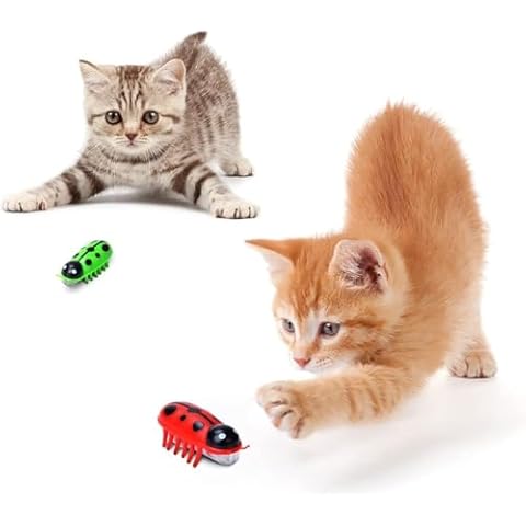 Electric Robot Beetle Cat Toy, 2 Pack Interactive Mini Cat Toy Excites & Entices Cats Cuddling Chasing Fun Realistic Beetle Vibrating Moving Cat Bug Educational Toy for Indoor Cats Kitten Play Chase Cover