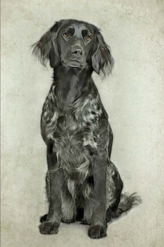 Munsterlander: Artified Pets Journal/Notebook/Diary (Artified Pets Dog)