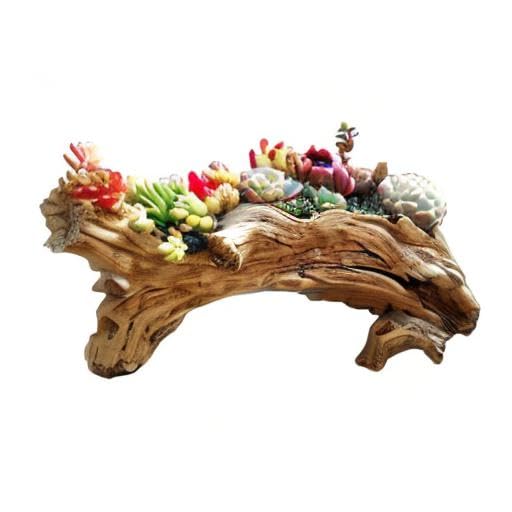 Amazon.co.jp: YANMILIA 流木プランター フェイクウッド 樹脂 多肉植物