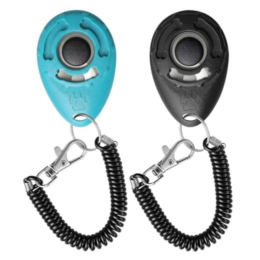 Pet Training Clicker mit Handschlaufe