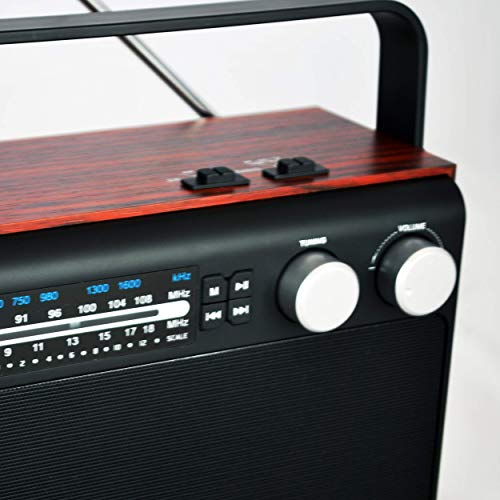 Goldship Cx-1489 Radio Bluetooth 6 In 1 - Vintage