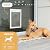 Hakuna Pets Deluxe Aluminum Pet, Cat and Dog Door with 2-Way Locking Panel for Screens, Doors and Walls up to 2.8" Thick, Medium, White