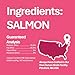 Whole Life Cat Just One Salmon Freeze Dried Cat Treats - Human Grade High Protein Food, Healthy Training Snacks, Freeze Dried Salmon Food Toppers, USA Made Natural Treats - 1 oz (Pack of 1)