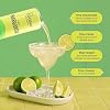 Recess Zero Proof Craft Mocktails, Alcohol Free Drinks, With Adaptogens, Non-Alcoholic Beverage Replacement, Mixer, Celebration, Party, (Lime Margarita, 12oz, Pack of 12)