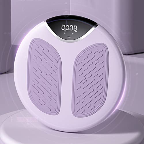 Prancha, disco de torção da cintura, prancha, passo de torção para treino de tonificação de corpo in