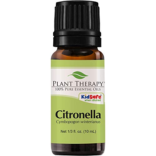 Plant Therapy Citronella Essential Oil 10 mL (1/3 oz) 100% Pure, Undiluted, Therapeutic