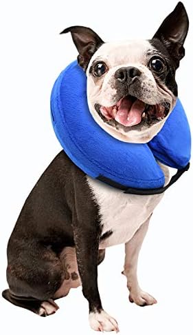 kong protective collar