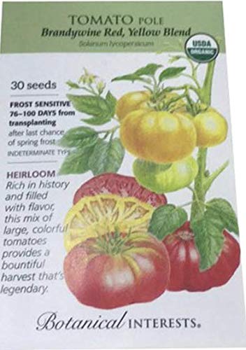 Brandywine Organic Tomato Pole Seeds - Heirloom Variety For Home Gardens