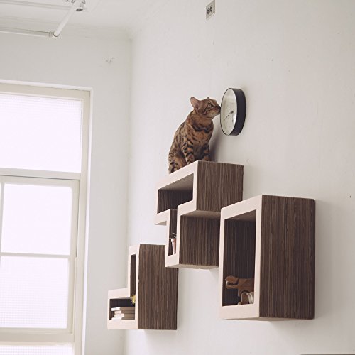 katris shelves