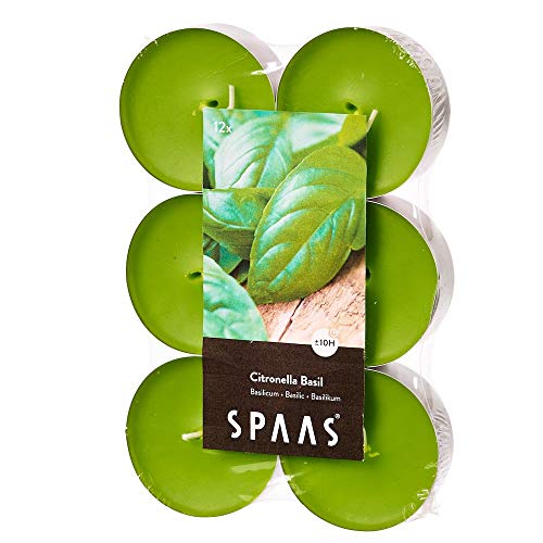 Ivyline S0392120303 citronella lumini 12 Maxi