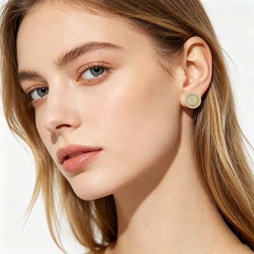 Image of NEWITIN 2 Pairs Silver Stud Earrings for Women Hypoallergenic Earring Stainless Steel Inlaid Cubic Zirconia Studs Earring Diamond Halo Stud Earrings for Women Men