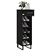 Imagen de Eleganz Zapatero negro 30 x 35 x 105 cm de madera y hierro