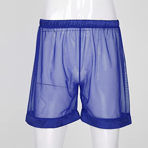 FEESHOW Men's See-Through Mesh Loose Shorts Underwear Cover up Boxer Trunks2