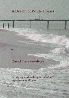 Paperback A Dream of White Horses Book