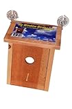 My Window Birdhouse Spy On Birds Real Wood Not Plastic Like Others 100% USA Made