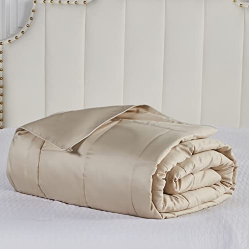 Honeyhush Honey Hush Dual Comfort All Season Blanket For Couples + All Natural 100% Cotton Comforter + His And Her Luxury Duvet Insert + Machine Washable (Queen) #TOP6