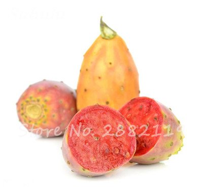 Promoción grande 100 semillas de Opuntia piezas raras higo chumbo de dulce de alta nutritous Cactus Semillas fruto comestible del jardín de flor de Bonsai 16