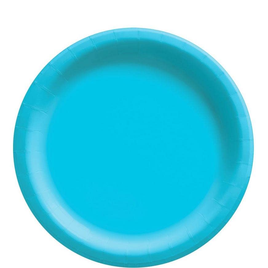 Assiettes en carton 22 cm rigides et imperméables couleur Caraïbes