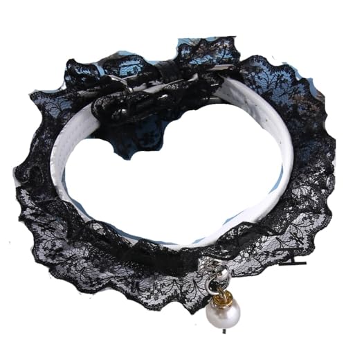 KlivexL  [X p[  Lp vAEFfBO[X (ubN,STCY - 22-28cm,2)