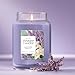 Yankee Candle Lavender Vanilla, Scented Candle, 22oz Large Jar with up to 150 Hour Burn Time, Giftable