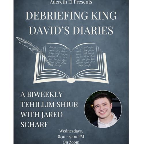 『Debriefing King David's Diaries: Intro』のカバーアート