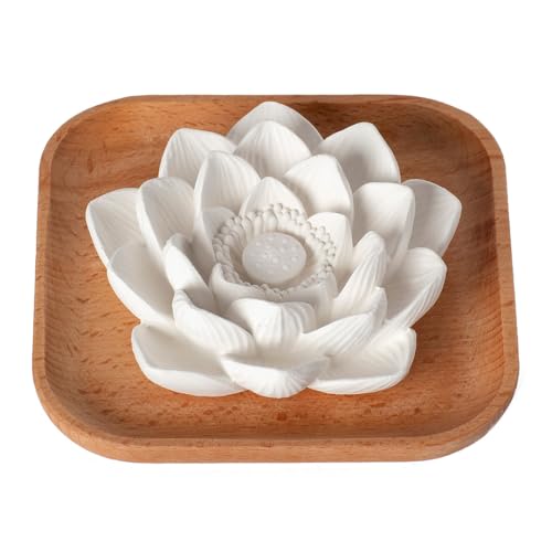 Plant Therapy Passive Lotus Flower Aromatherapy Diffuser - A Chic and Natural Home Office and Travel Essential Oil Diffuser