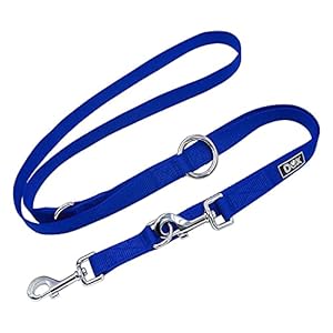 DDOXX Nylon Hondenriem, 3-wegs Aanpasbaar, 2 m | Voor Kleine en Grote Honden | Dubbele Hondenlijn voor Honden/ Katten/Puppies | Lange Hondenlijn | Korte Wandellijn | Looplijn/Puppyriem | Blauw, M