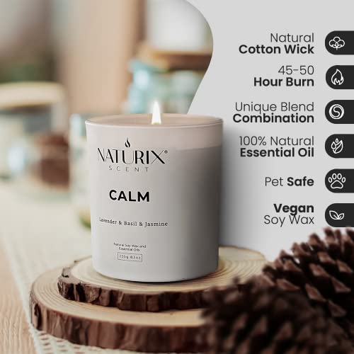 Naturix Scented Candles For Home, Non Toxic Soy Candle – 50 H Long Lasting, Calming Natural Essential Oil Blend - Lavender, Basil & Jasmine - Aromatherapy Candle Jar With Lid - Gift Ready, 8.3Oz #TOP2