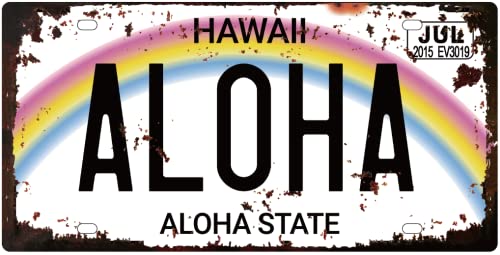 - Lot von 5 US-Metall-Autonummernschildern mit gealterter Wirkung - Nachbildungen echter amerikanischer Nummernschilder und der des Films: Zurück in die Zukunft / OLD5