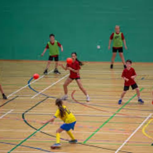 The Relativistic Dodgeball: Physics at the Limit copertina