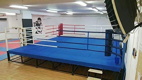 QMUK MMA Professional Ring Floor Mat - Canvas (Blue, 14 x 14 Feet)