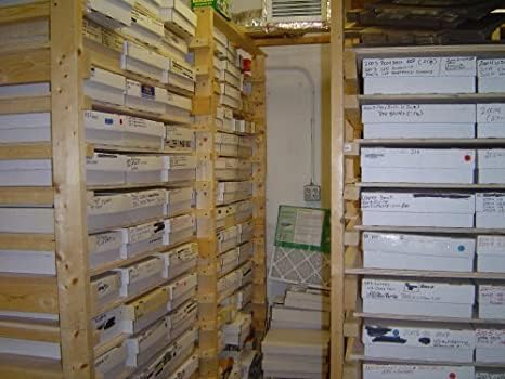 Baseball Card Estate, Huge Card Store Dealer Inventory Sale Box Lot (100+), Includes Jersey/Bat Relic or Autographed Card