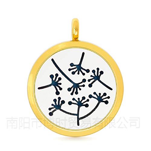 Preisvergleich Produktbild Aromatherapie-Anhänger 30 Mm Legierung Öffnende Ätherische Öl Anhänger Halskette