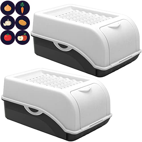 ARTECSIS - Caja de patata (2 cajas de 3,5 litros para almacenamiento y conservación + 6 pegatinas de frutas y verduras)