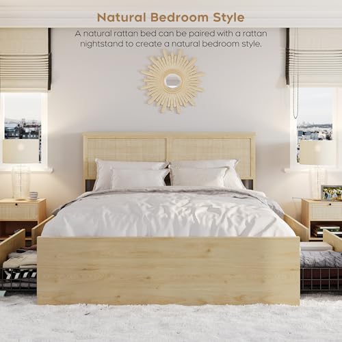 Brafab Natural Rattan Queen Bed Frame with Wooden Headboard and 4 Storage Drawers, Boho Cane Bed Metal Platform Bed with Strong Wooden Slat, Noise Free, No Box Spring Needed