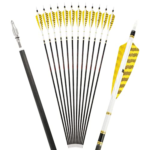 Poearcus Tiro con Arco Flechas de Carbono Puro 250 300 350 400 500 600 Spine Turkey Pluma de puntería Flecha de Tiro para Arco Compuesto Arco Recurvo (6, 500 Spine)