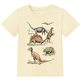 Kids Dinosaur Shirt Boys Girls Rex Dinosaur Tee Toddler Dino Enthusiast Summer Cotton Short Sleeve Tee Tops 5T