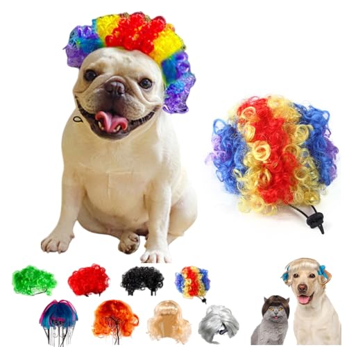 ybg̖ʔEBbO,  L , 蕨  nEB ϐg 蕨  L nEB Jc p[} AtiF30-60cmjʔ ڂɗ  RXv p[eB[ o| U Be XQF (i1j,