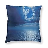 【Size】16*16Inch/18*18Inch/20*20Inch/22*22Inch/24*24Inch/26*26Inch, suitable for seat cushion, pillow, couch cushion, lounge cushion, decorative cushion.