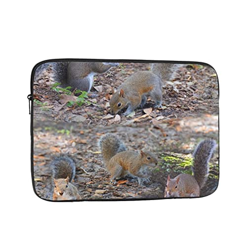 X ʐ^ m[gp\RP[X 17 inch C` bvgbvX[u PCP[X X[uP[X Ci[P[X ϏՌ ϐ ʋ ʊw 킢 یP[X/m[gubN/^ubg