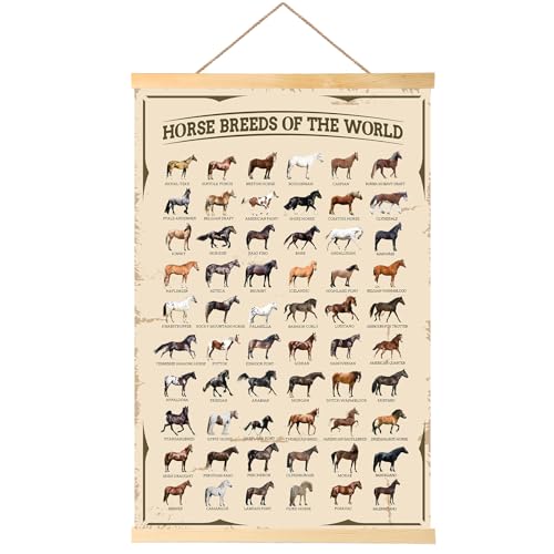 EIHFHIE Horse Gifts for Girls Horse Poster Horse Knowledge Horse Breeds of The World Poster Horse Pictures Wall Decor Gifts for Horse Lovers 16x25 In