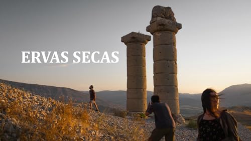 Ervas Secas