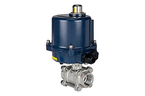 RIEGLER 103716-350.4814R - Rubinetto a sfera in acciaio INOX a 2 vie, 24 V DC, Rp 1 1/2, 1 pezzo