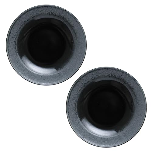 軽量 メイン皿 黒海のように黒いリム型8.0皿 2個セット 直径24.5cm 高さ2.9cm 560g 美濃焼 食洗機対応 電子レンジ対応 黒色