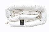 Century Home C352-174 Glucksberg European White Goose Down Comforter, King